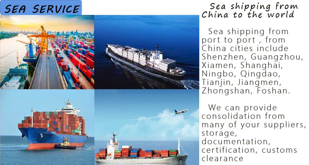 Freight Forwarder LCL Sea Shipping Agent Cost From China to Colombo Sri Lanka