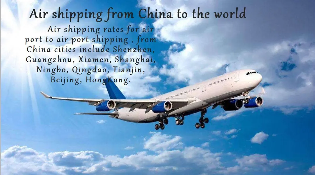 Freight Forwarder LCL Sea Shipping Agent Cost From China to Colombo Sri Lanka