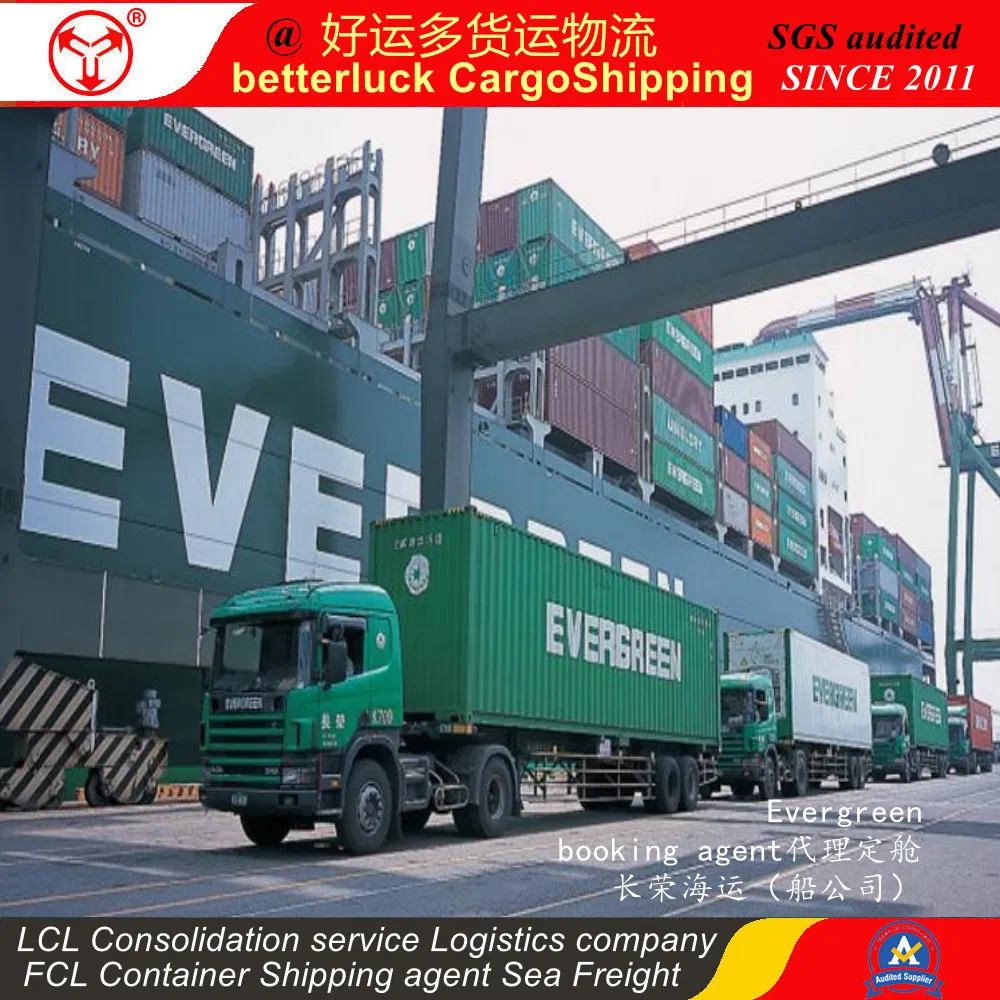 from Guangzhou to Port Kelang FCL Container Cargo Shipping Lines