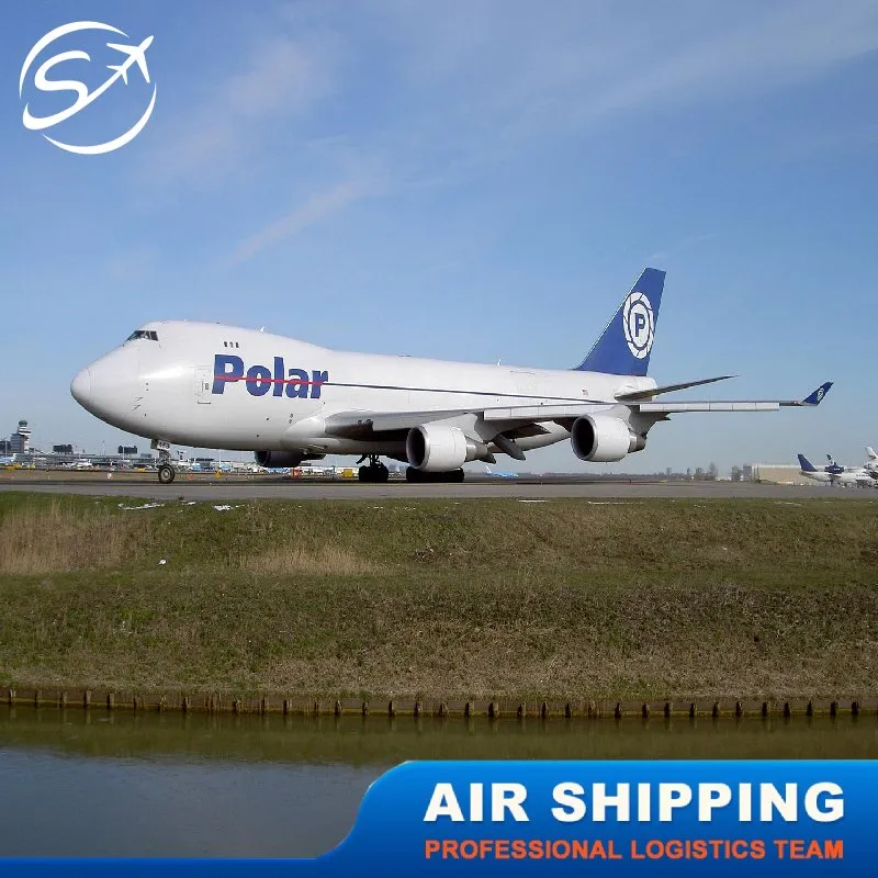 Good Price and Fast Service Offer Shipping Agent From China to Ireland