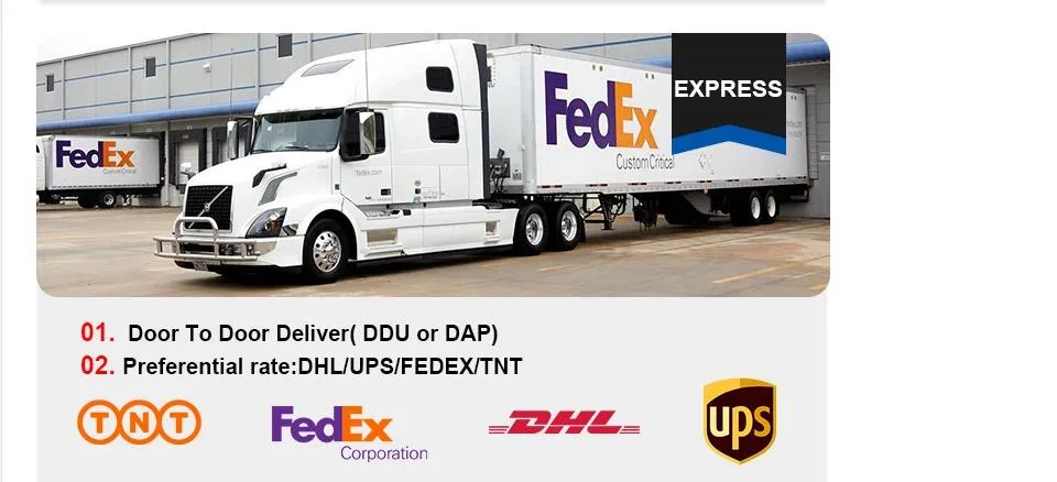 International Air Freight Air Cargo Air Shipping Service Agent From China to Lusaka/Tunis/Dar Es Salaam/Mahe Island
