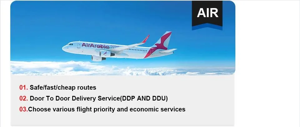 International Air Freight Air Cargo Air Shipping Service Agent From China to Lusaka/Tunis/Dar Es Salaam/Mahe Island