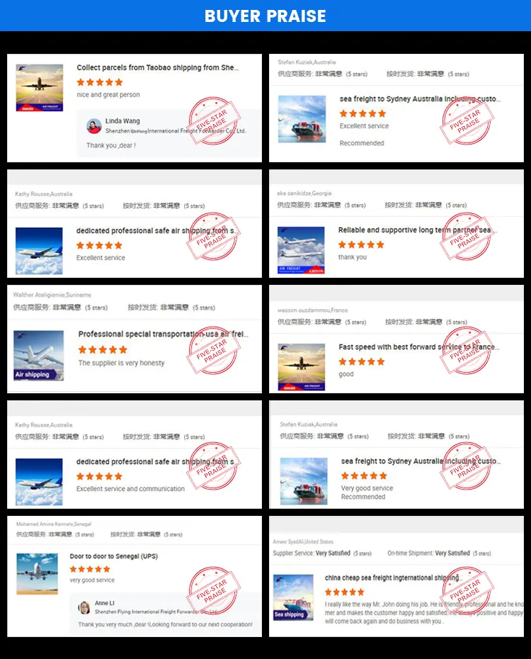 International Express to Amazon, Air, Sea, Us, Canada, Fba, European Special Line