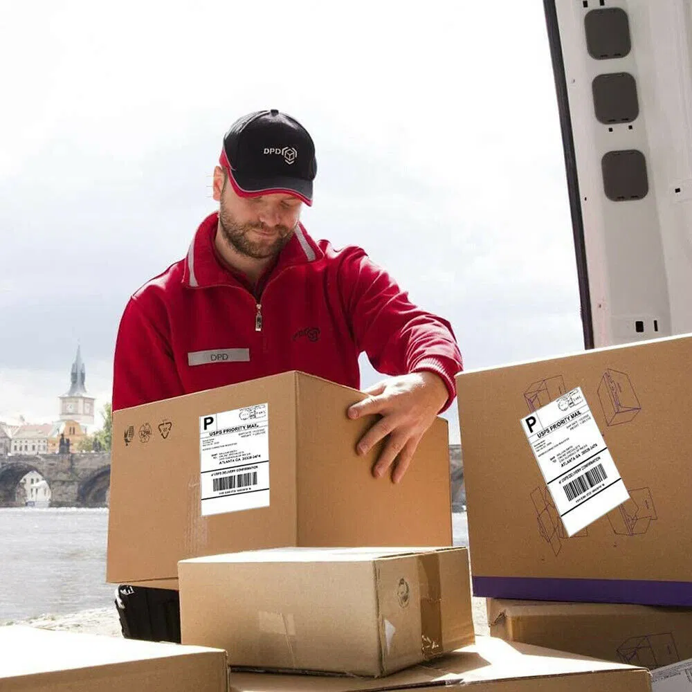 International Express to Amazon, Air, Sea, Us, Canada, Fba, European Special Line
