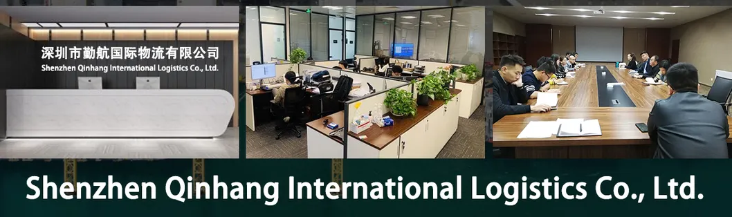 International Express to Amazon, Air, Sea, Us, Canada, Fba, European Special Line