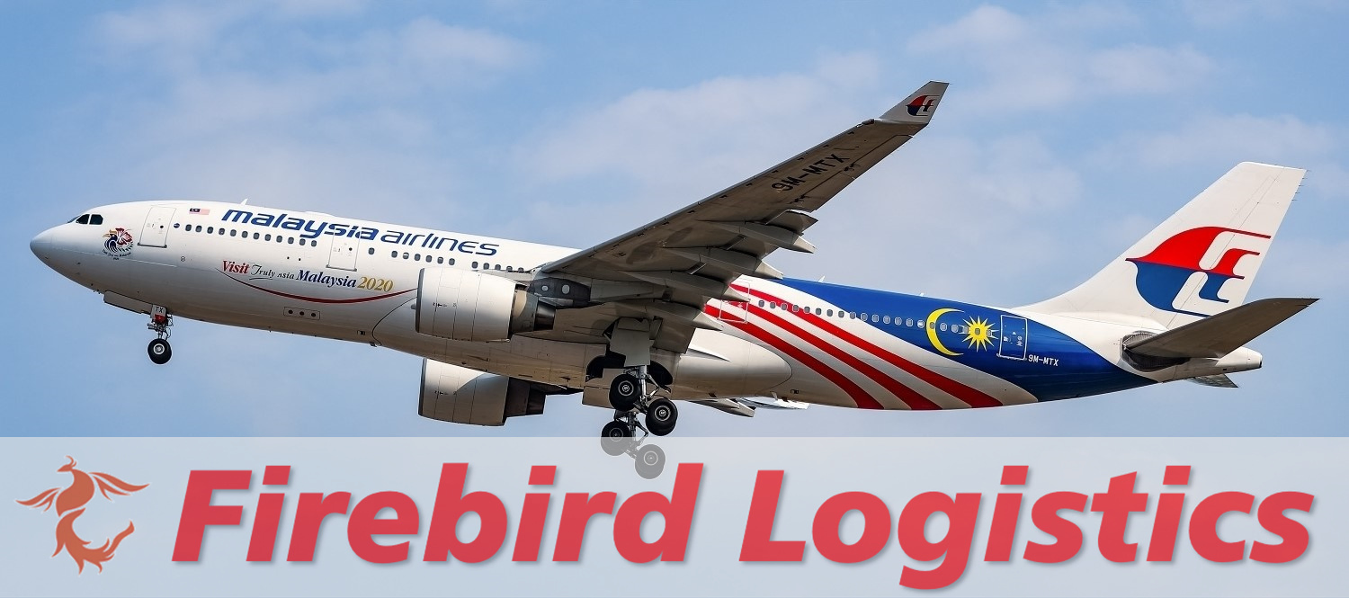 International Logistics Door to Door Air Cargo Express Service China to Japan, Korea, Singapore, Malaysia, Vietnam, Australia DAP DDP