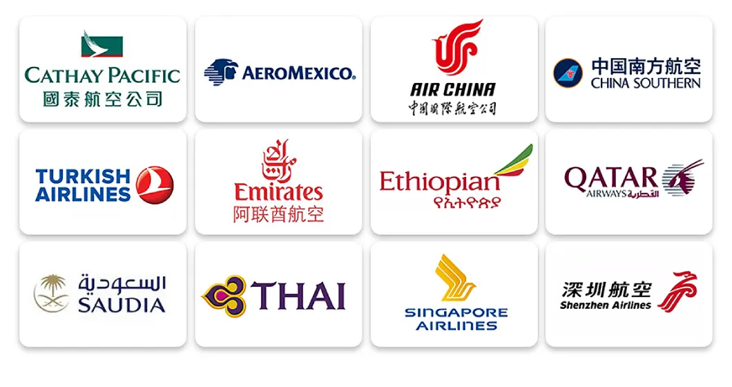 International Logistics Form China Szx Pvg Can to USA Ca EU Au Airport with 3-5 Days Air Cargo Forwarder Shenzhen Air Freight