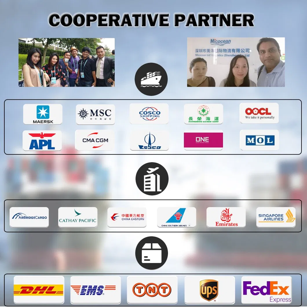 LCL Sea Shipping Service to Colon Free Zone/Panama City From China