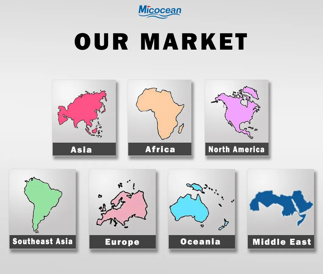 LCL Sea Shipping Service to Colon Free Zone/Panama City From China