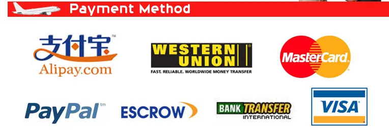 Local Agent in Europe Do Customs Clearance by Air Train Shipping