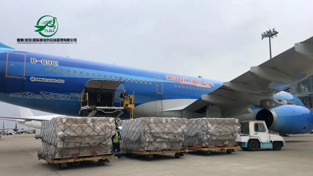Local Dropshipping Agent Freight Forwarder Amazon / Alibaba / FedEx / DHL / Taobao / 1688 Express Rate