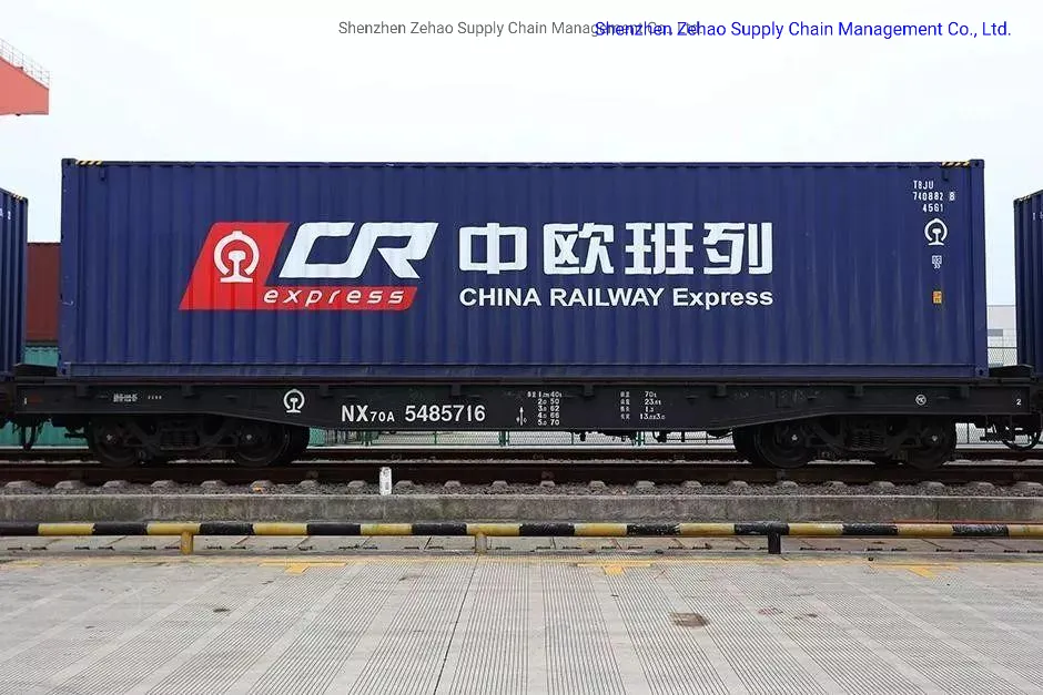 Logistics Service Reliable Shipping Forwarder Cargo Service/Shipping
