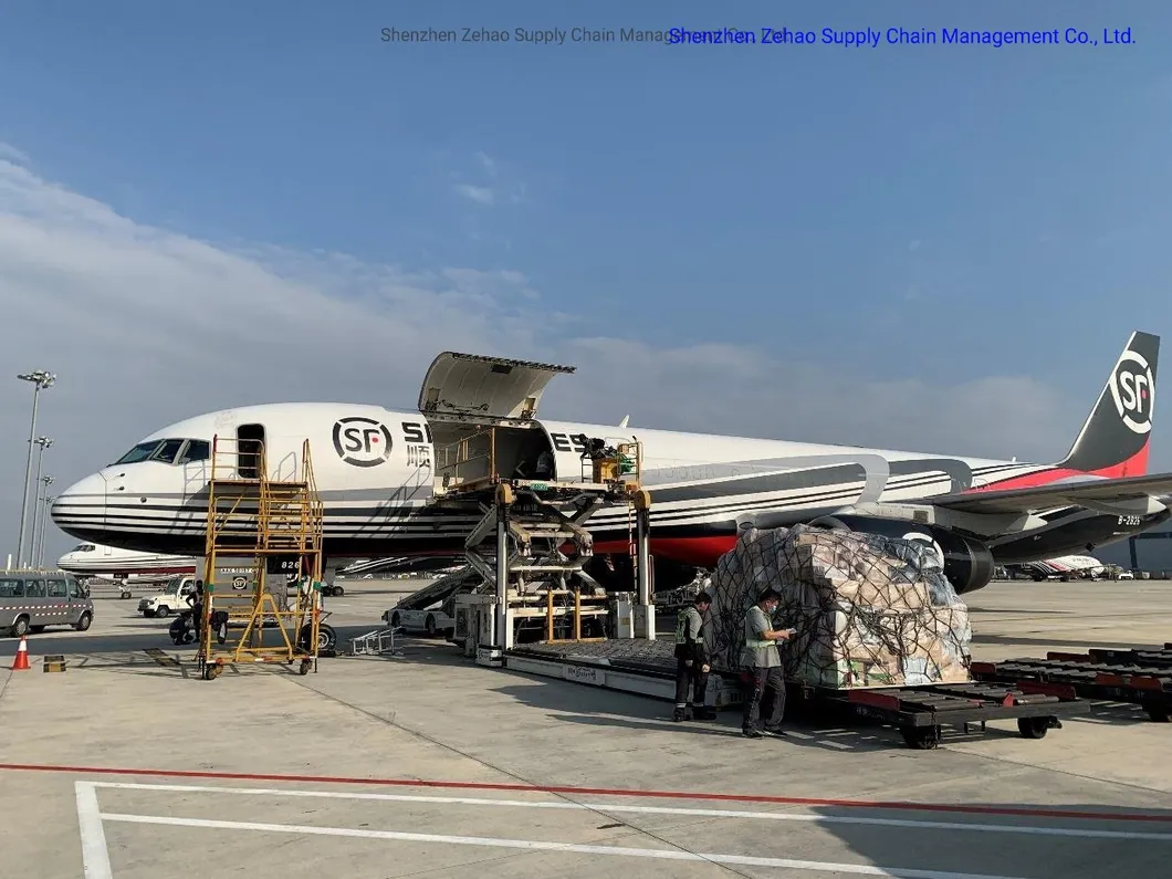 Logistics Service Reliable Shipping Forwarder Cargo Service/Shipping