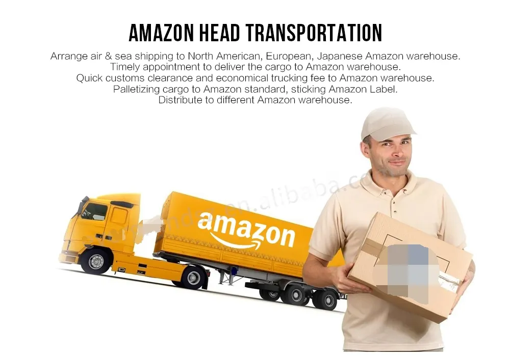 Logistics Service Shipping Forwarder China Reliable Shipping Agent Company
