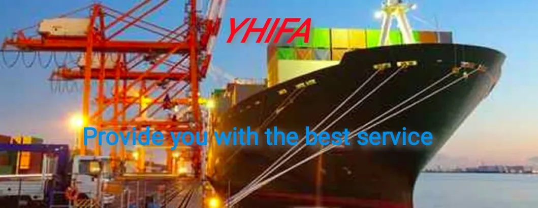 Lowest Price Freight Forwarder Sea Freight Shipping China to Cuba