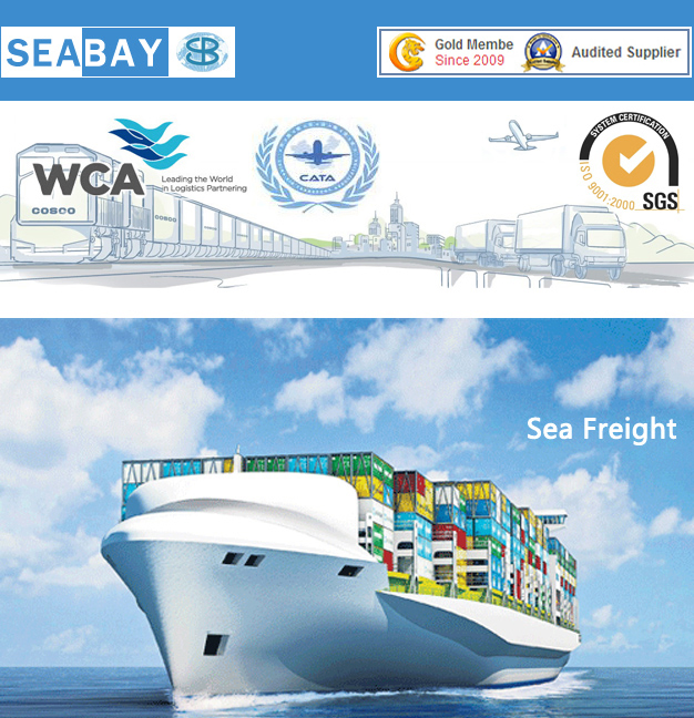 Ocean Freight From Shenzhen to Jeddah Dammam
