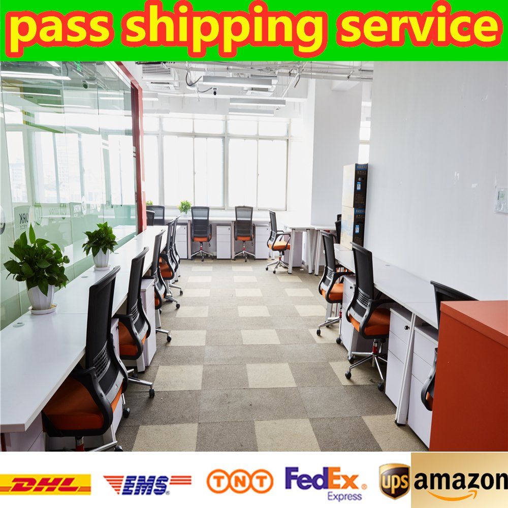 Ocean Shipping From China to USA/Vienna, Austria with Low Cost