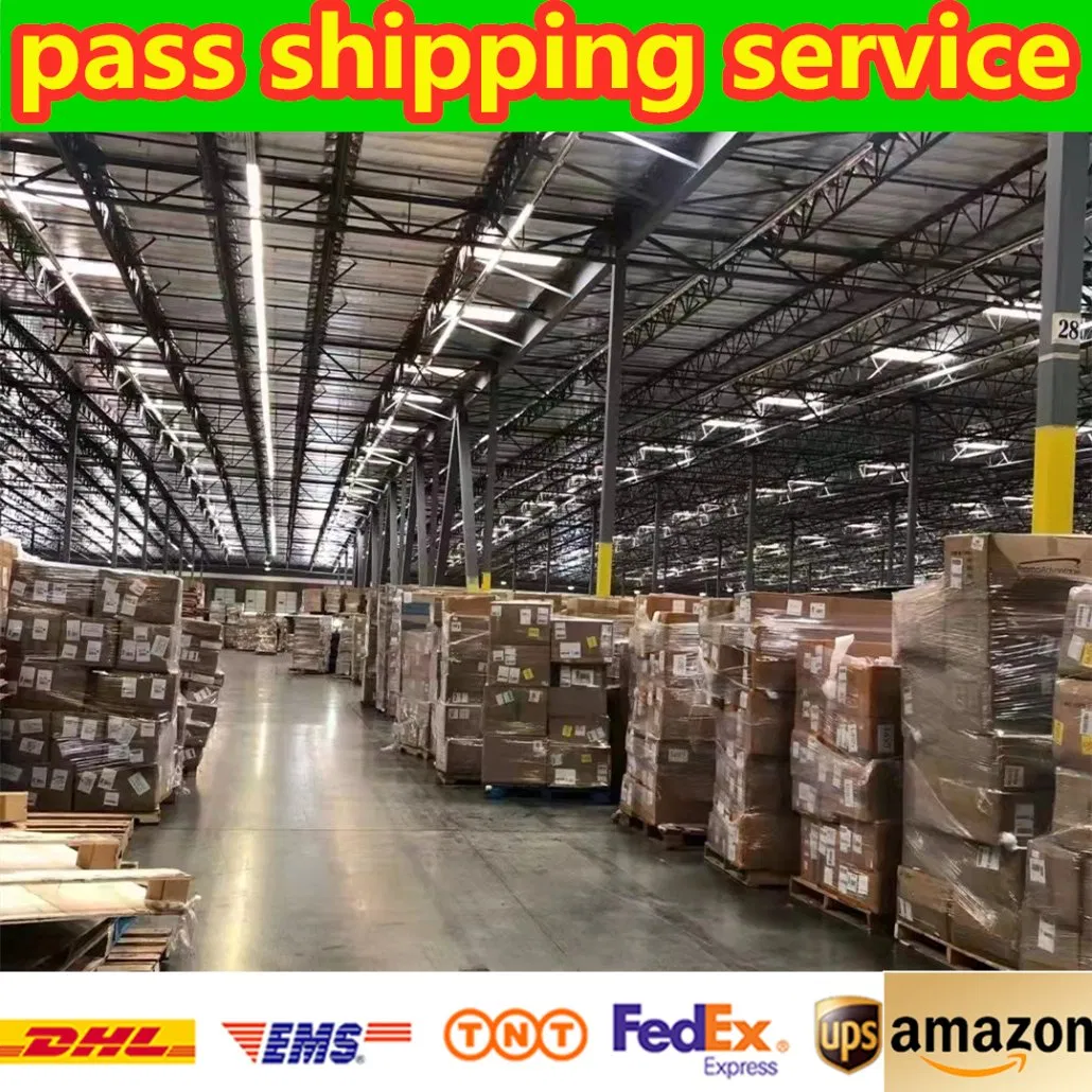 Ocean Shipping Reliable Shipping Agent From China to The United States Shipping
