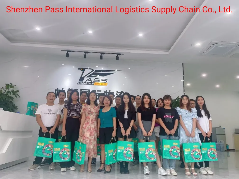 Ocean Shipping Reliable Shipping Agent From China to The United States Shipping