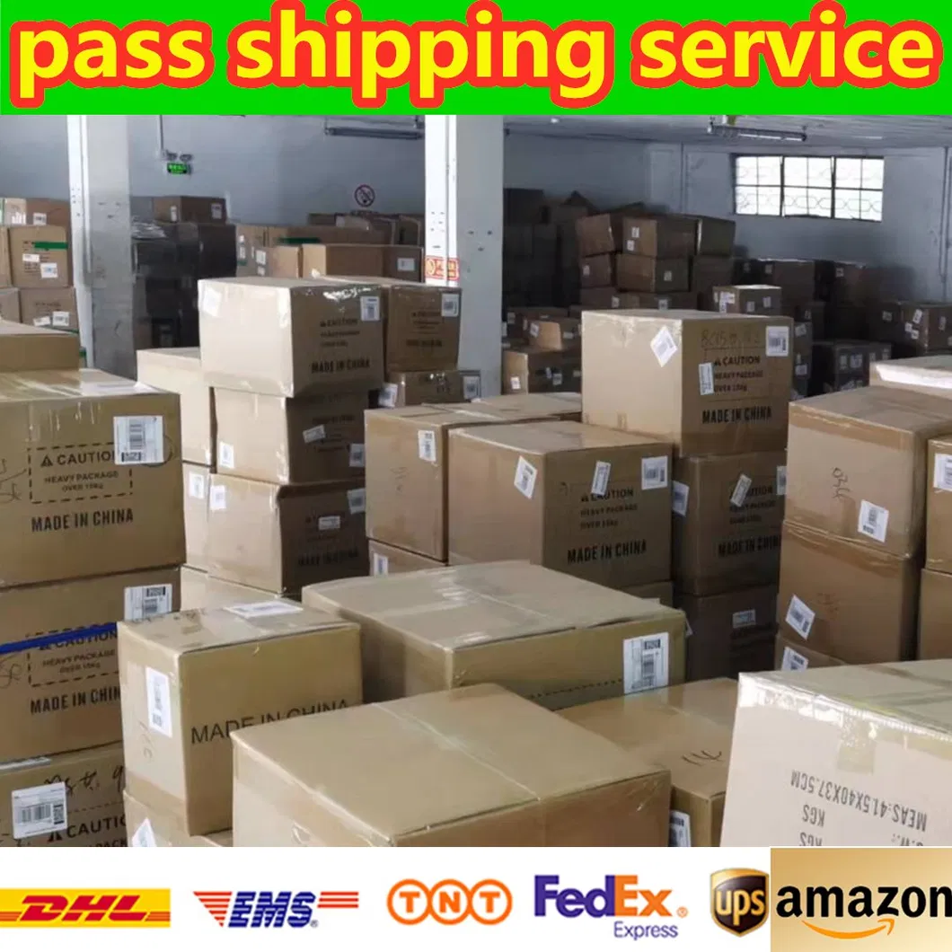 Ocean Shipping Reliable Shipping Agent From China to The United States Shipping