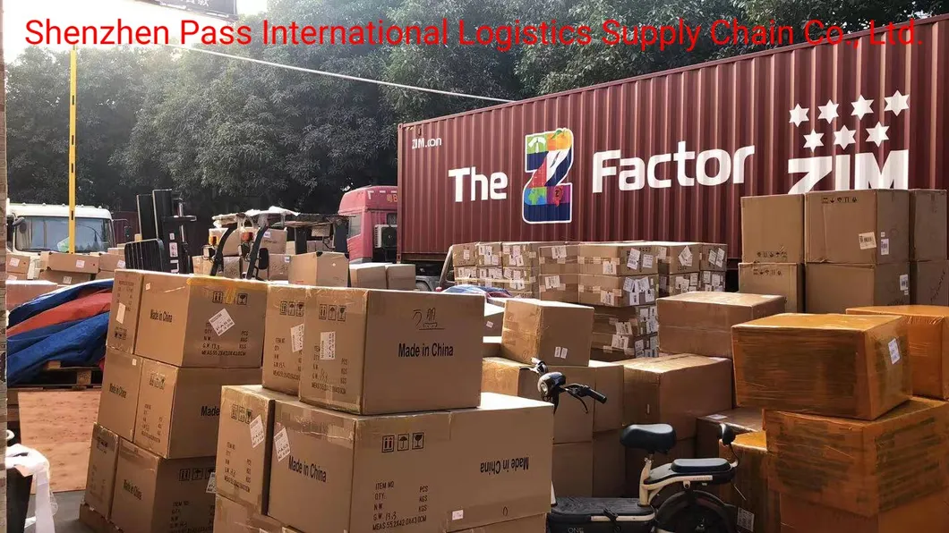 Ocean Shipping Reliable Shipping Agent From China to The United States Shipping