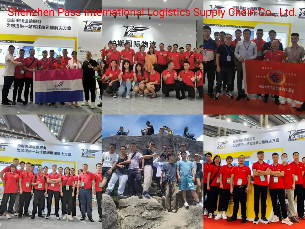 Ocean Shipping Reliable Shipping Agent From China to The United States Shipping