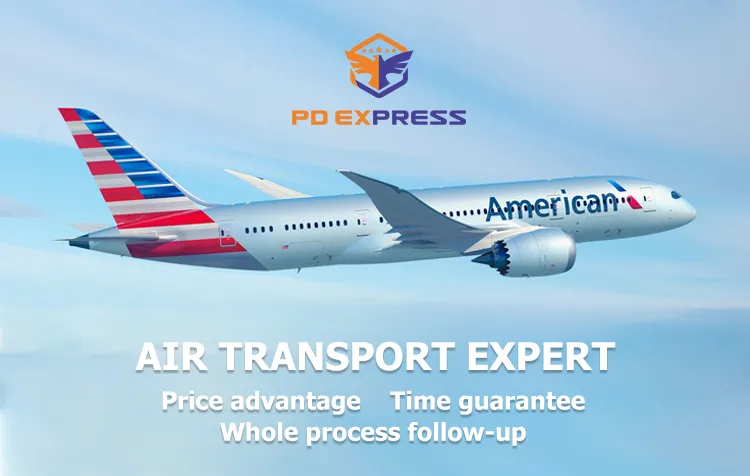 Professional and Economic Price DDP Air Freight Forwarder Shipping From China to Germany