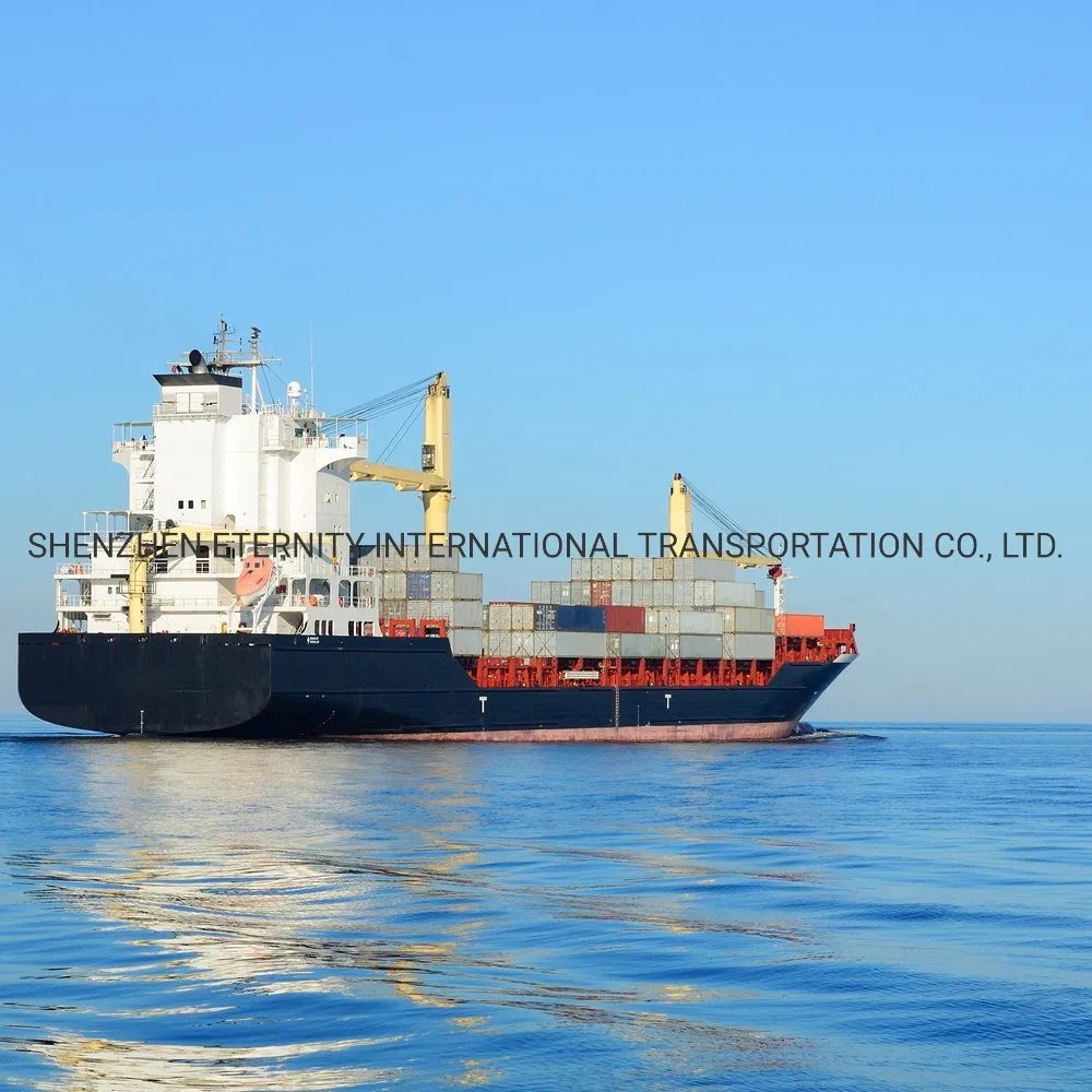 Professional Container Shipping Service From Guangzhou Shenzhen Shanghai Ningbo Qingdao to Bulawayo Harare Gweru Kwekwe Mutare Zimbabwe