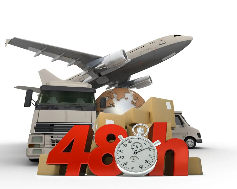 Professional Freight Forwarder Agent UPS/DHL/TNT/FedEx Express to Japan From China