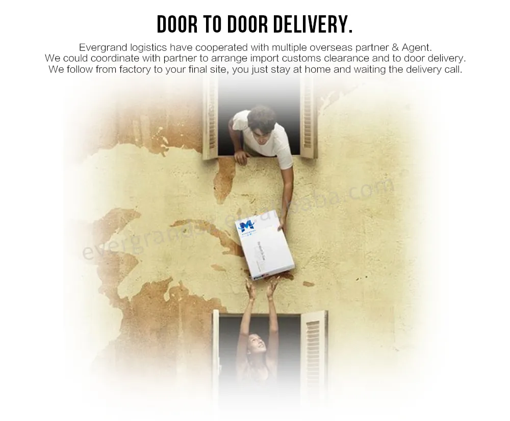Professional Freight Forwarder Agent UPS/DHL/TNT/FedEx Express to Japan From China