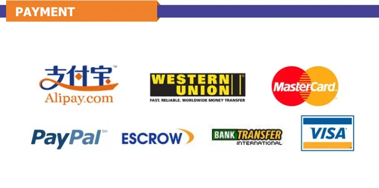 Professional Freight Forwarder Agent UPS/DHL/TNT/FedEx Express to Japan From China