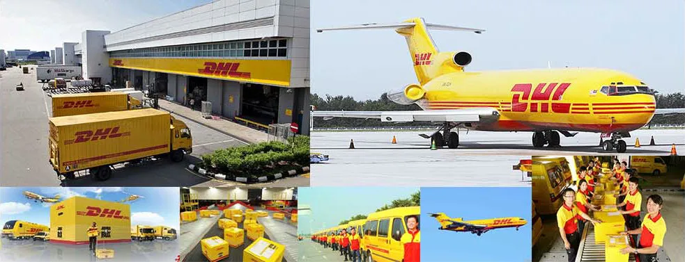 Professional Freight Forwarder Agent UPS/DHL/TNT/FedEx Express to Japan From China