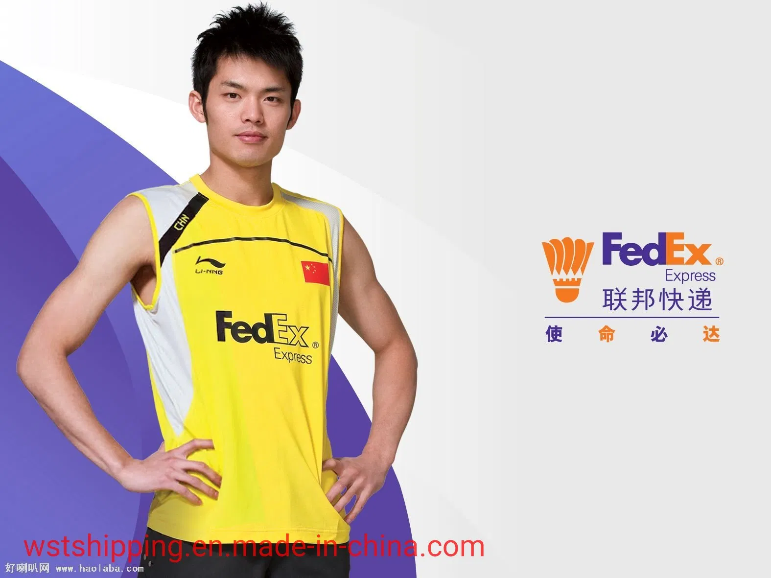 Professional Freight Forwarder Agent UPS/DHL/TNT/FedEx Express to Japan From China