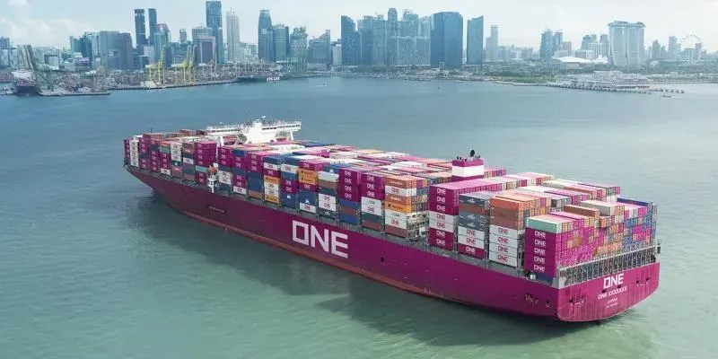 Professional Freight Forwarder International Logistics Freight Forwarder Qingdao, China to Houston, Tx, USA