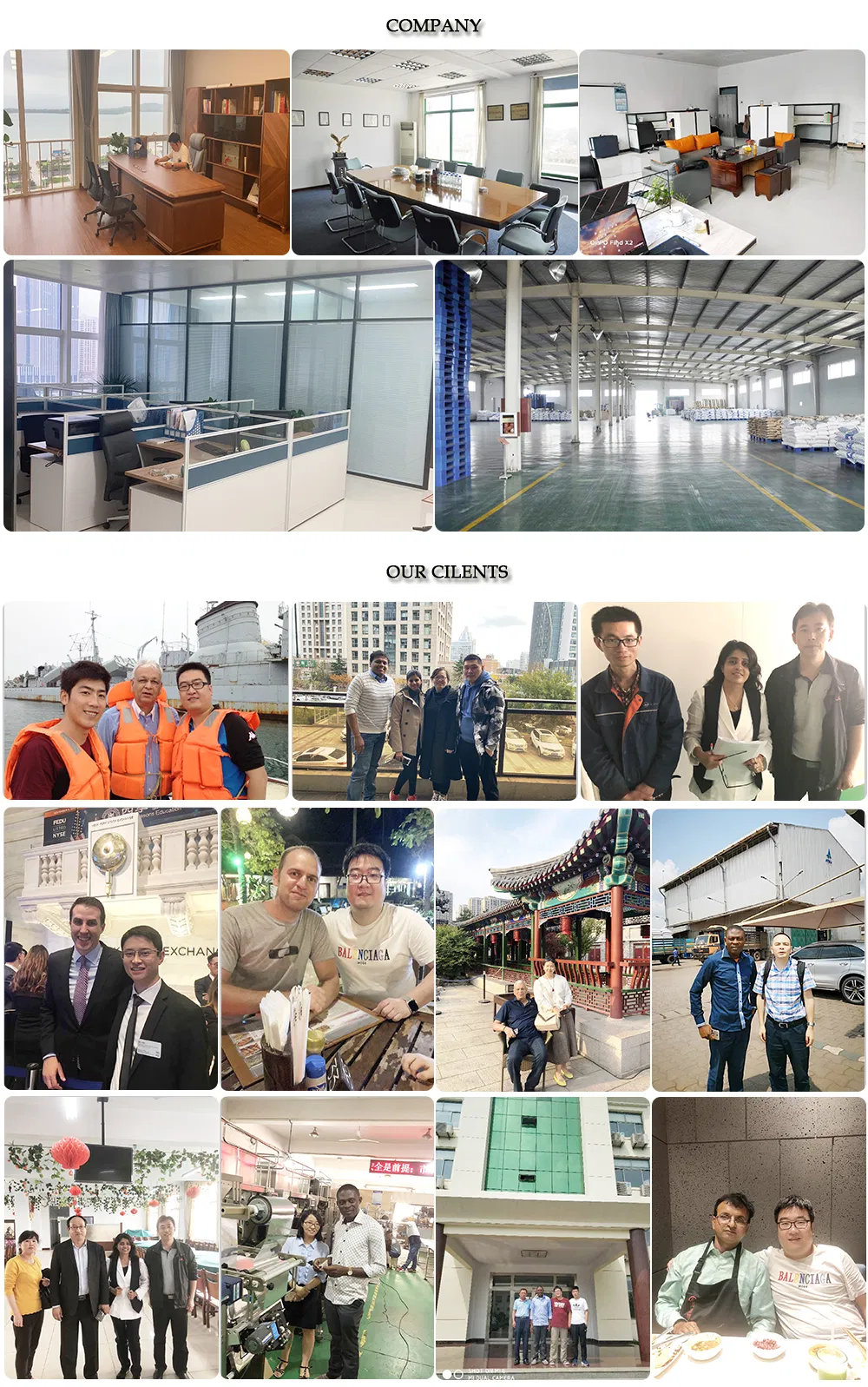 Professional Freight Forwarder International Logistics Freight Forwarder Qingdao, China to Houston, Tx, USA
