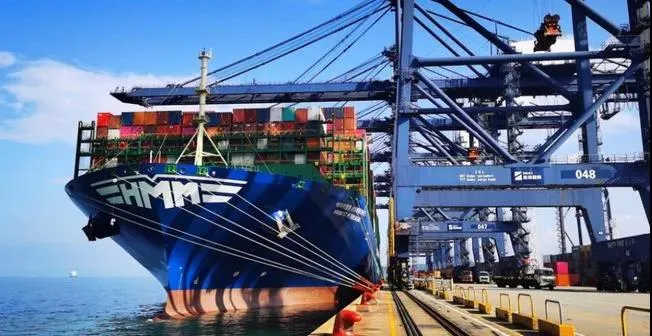 Professional Freight Forwarder International Logistics Freight Forwarder Qingdao, China to Houston, Tx, USA
