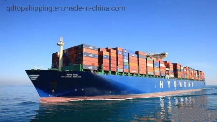 Professional Freight Forwarder International Logistics Freight Forwarder Qingdao, China to Houston , Tx, USA