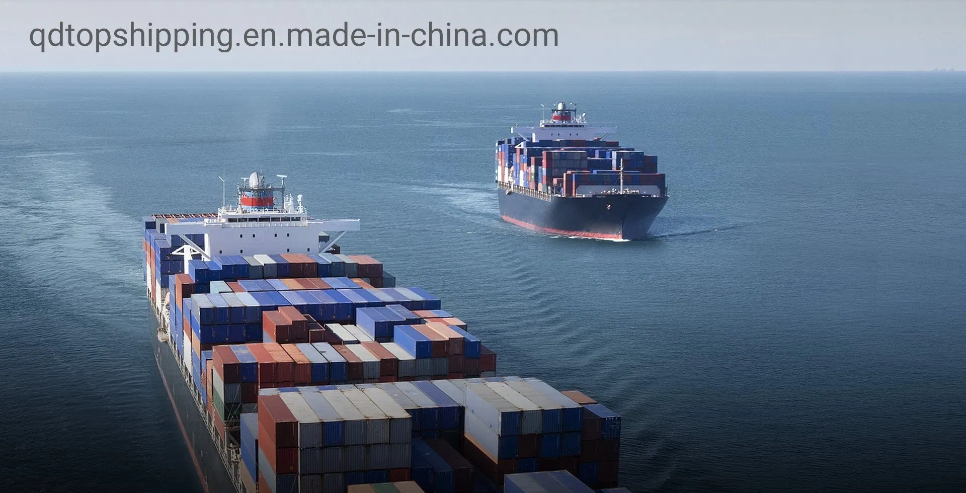 Professional Freight Forwarder International Logistics Freight Forwarder Qingdao, China to Tacoma , Wa