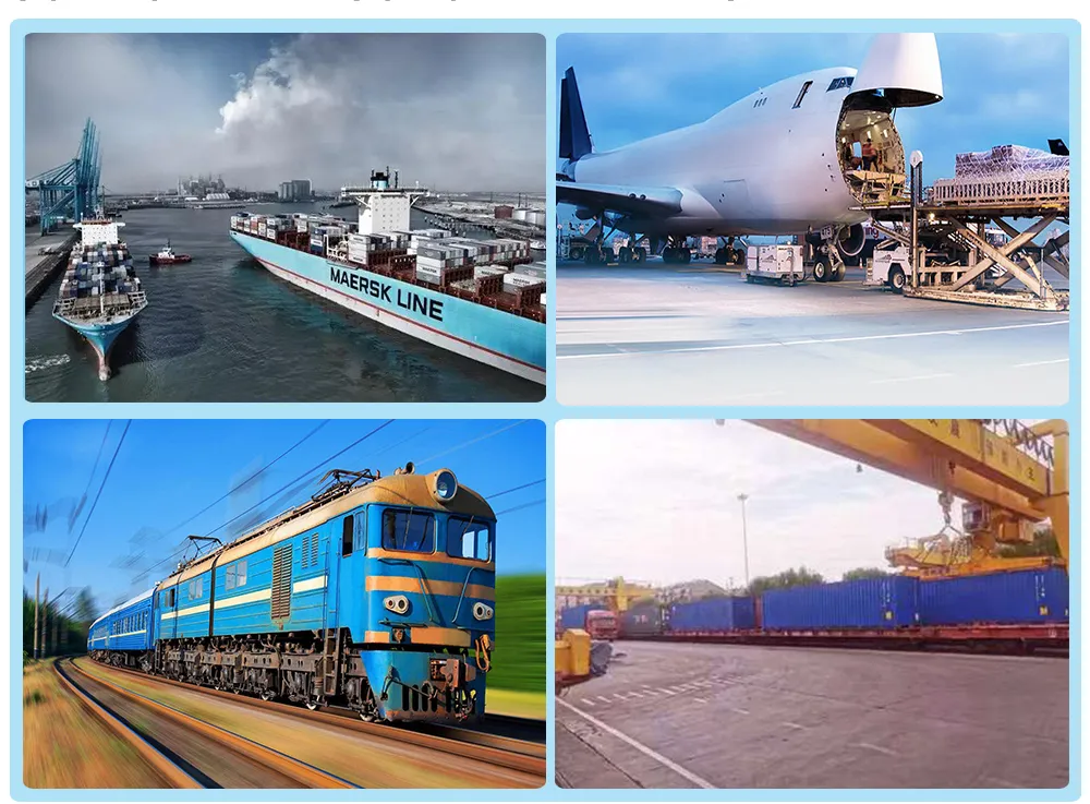 Professional Freight Forwarder International Logistics Freight Forwarder Qingdao, China to Tacoma, Wa