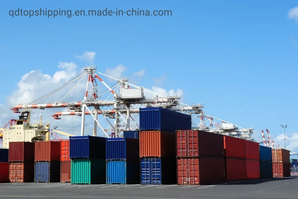 Professional Freight Forwarder International Logistics Shipping Agent Qingdao to Cochin