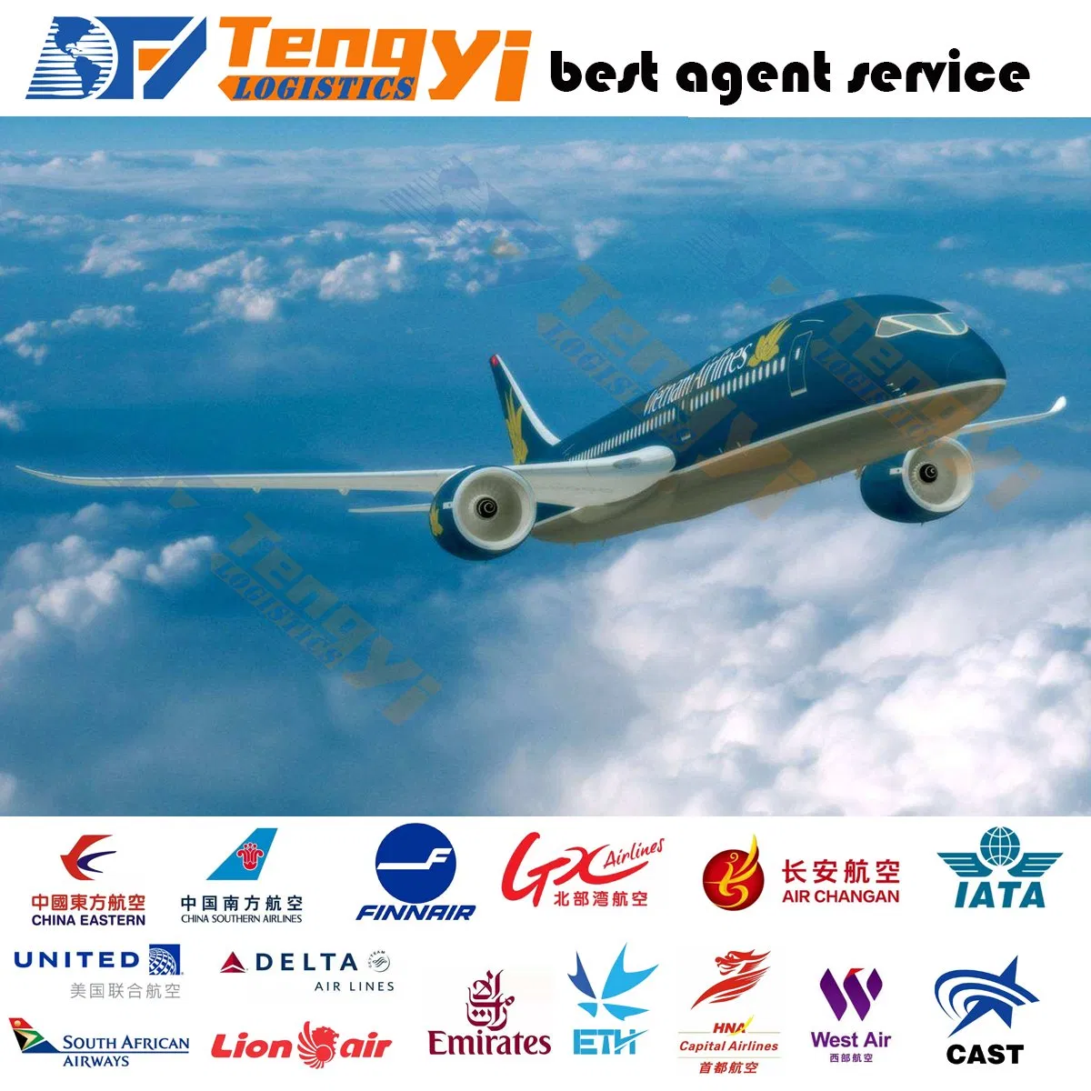 Professional International Logisties Sea/Air Freight From China to San Marino