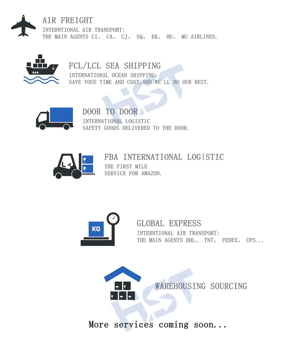 Professional Reliable Shipping Agent with Low International Shipping Fee to Netherlands/Belgium/UK