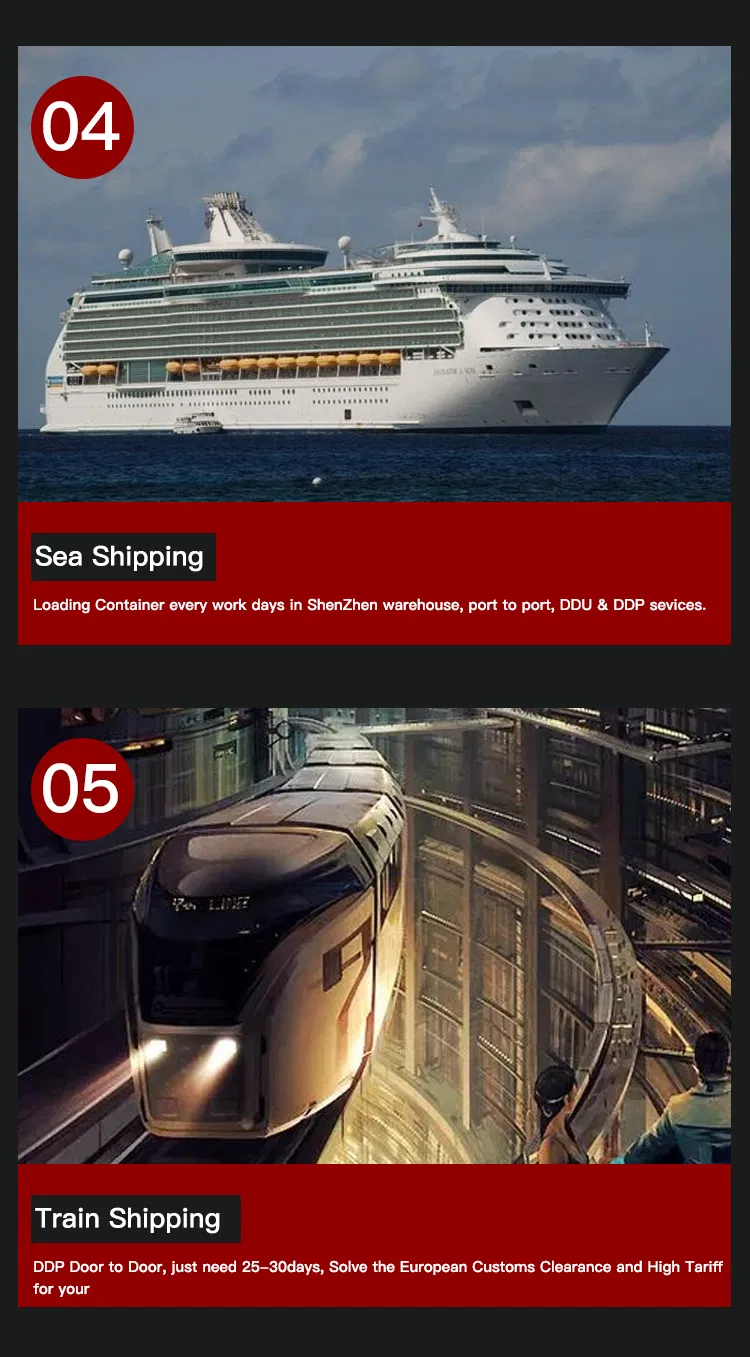 Professional Sea Freight Forwarder Agent Shipping From China to Lantin American/ Manzanillo