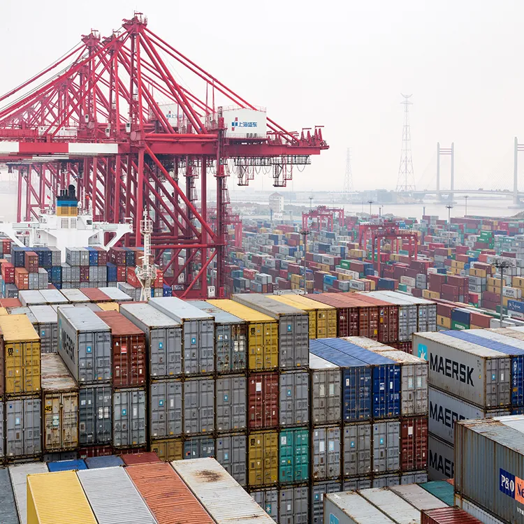 Professional Sea Freight Forwarder Agent Shipping From China to Lantin American/ Manzanillo