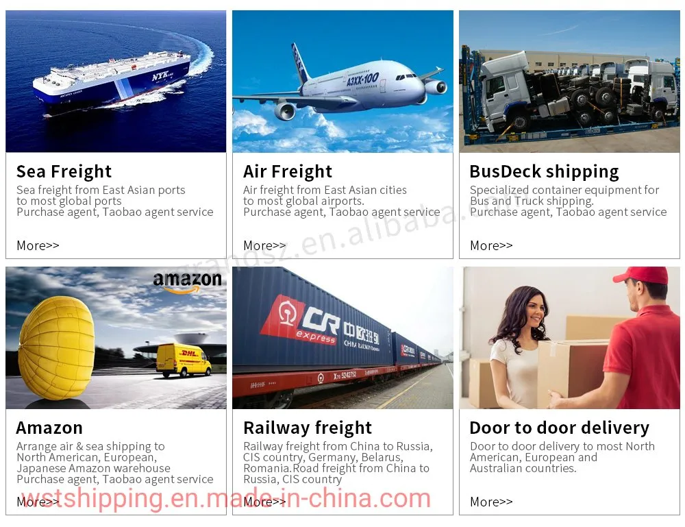 Professional Sea Freight Railway Forwarder Shipping From China to Europe /Hamburg