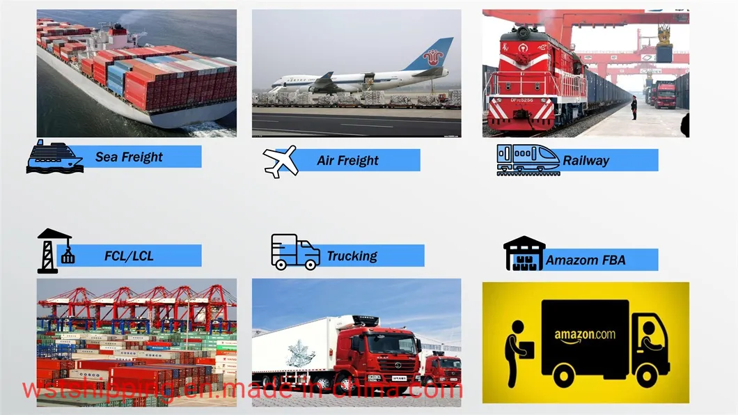 Professional Sea Freight Railway Forwarder Shipping From China to Europe /Hamburg