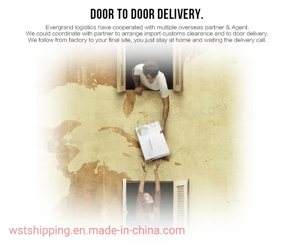 Professional Sea Freight Railway Forwarder Shipping From China to Europe /Hamburg