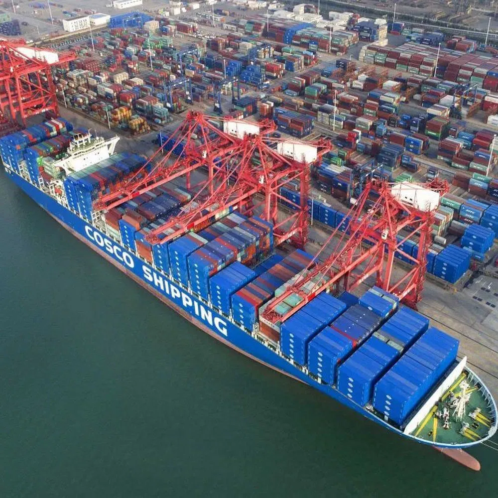 professional Sea Shipping from China to Germany Mannheim