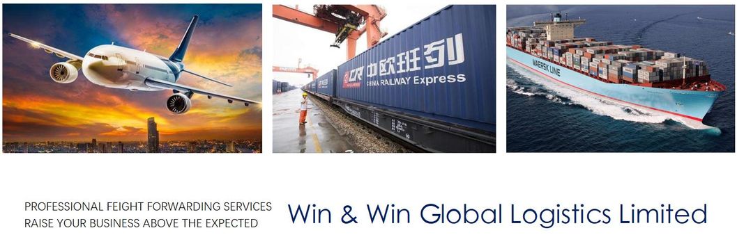 Professional Shipping Agent Air/Railway From China to Wien Austria
