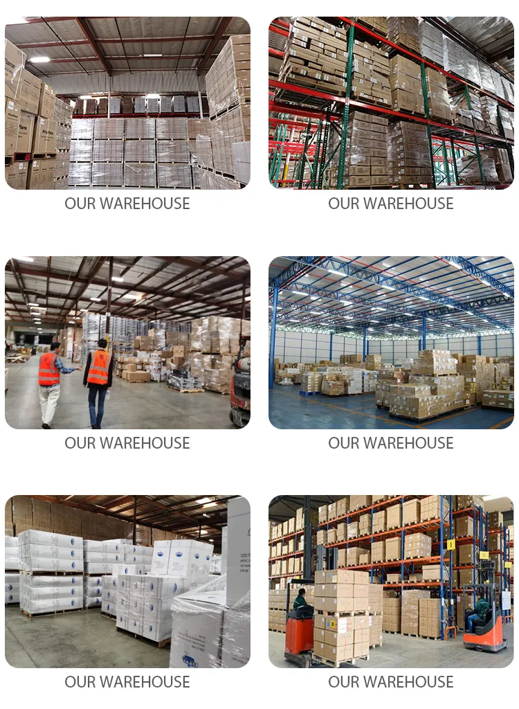 Maritime Transport Service to Europe From China Sea Freight (DDP)